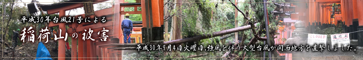 平成30年台風21号による稲荷山の被害