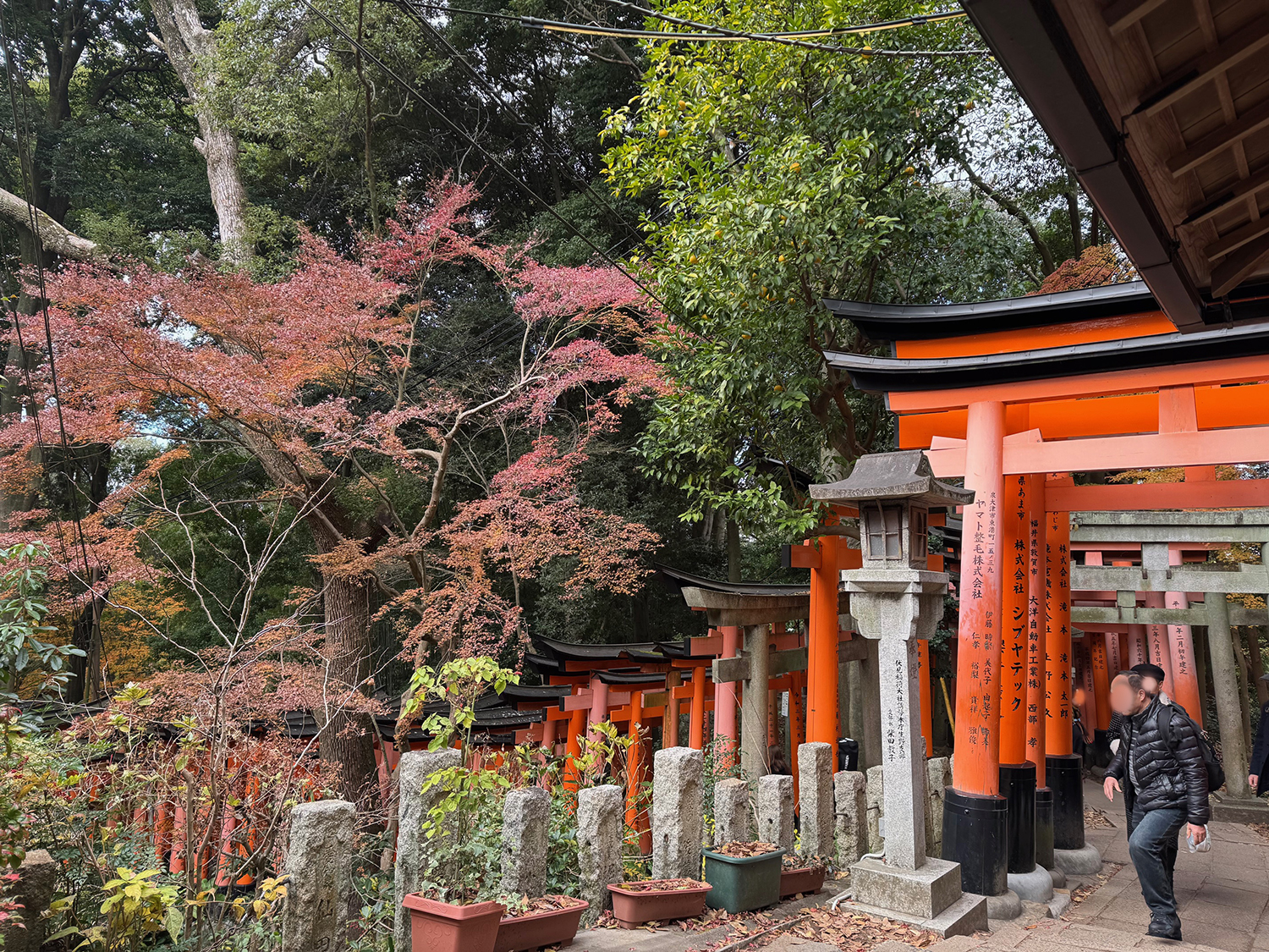 三叉路の紅葉と朱色の鳥居